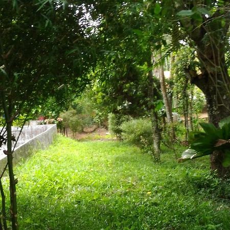 Philip Mary Farm Stay Thekkady Exteriör bild
