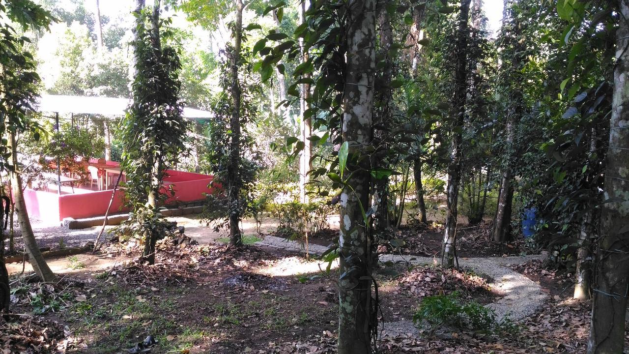 Philip Mary Farm Stay Thekkady Exteriör bild
