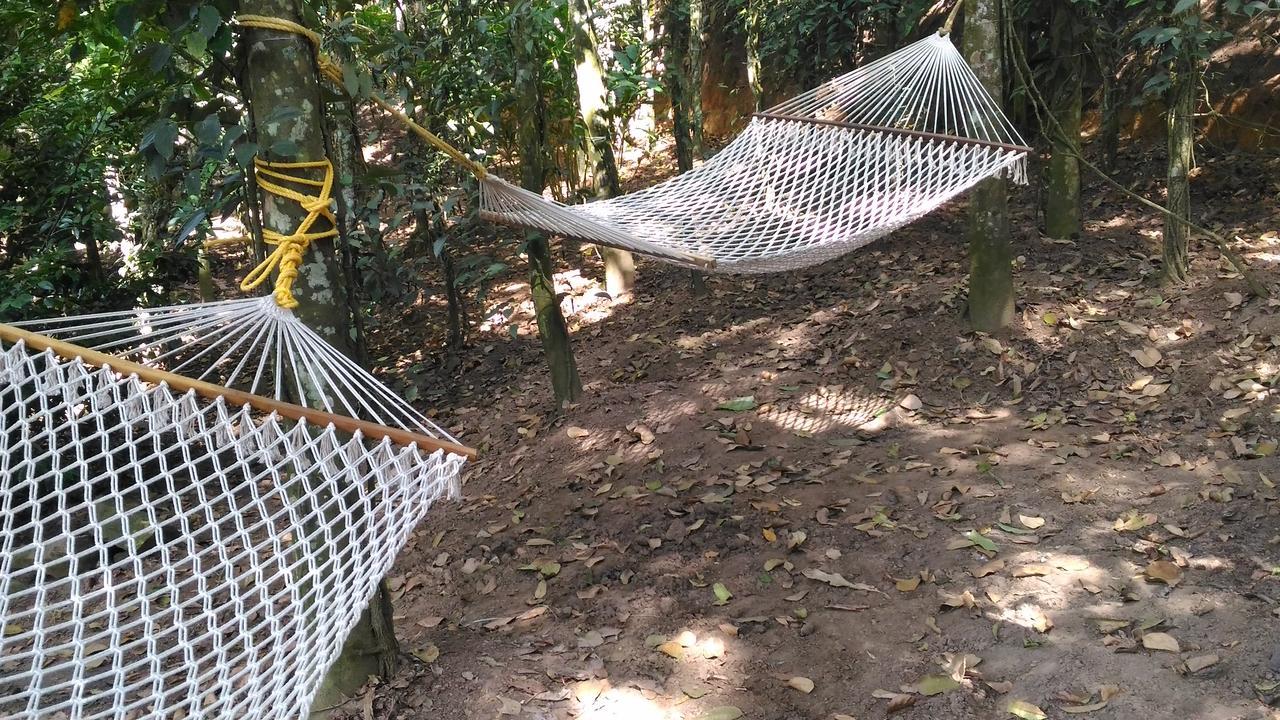Philip Mary Farm Stay Thekkady Exteriör bild
