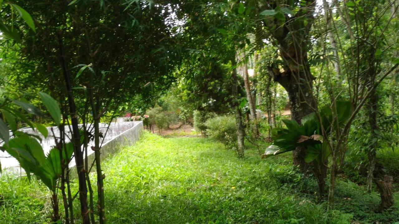 Philip Mary Farm Stay Thekkady Exteriör bild