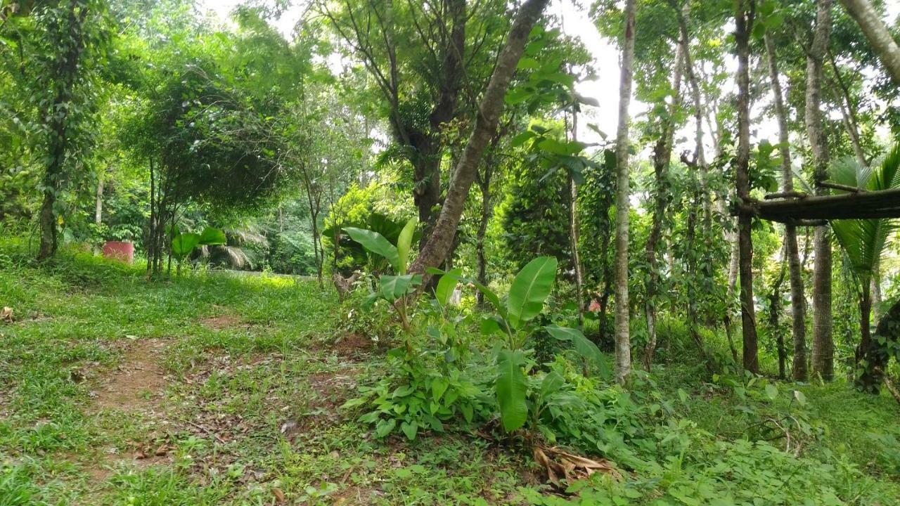 Philip Mary Farm Stay Thekkady Exteriör bild