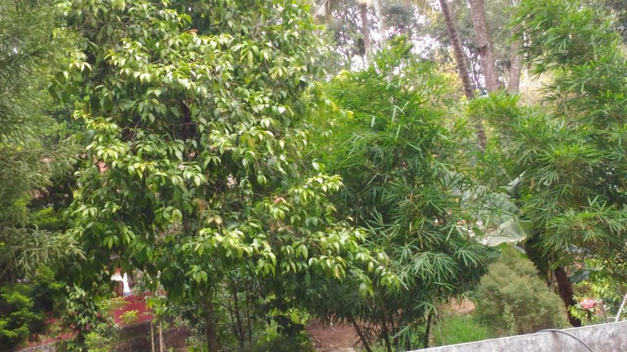 Philip Mary Farm Stay Thekkady Exteriör bild