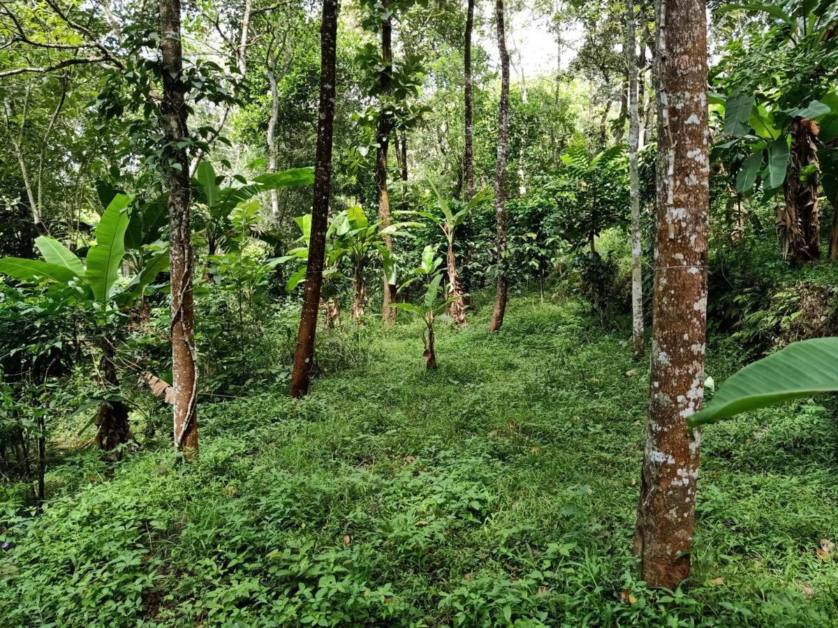 Philip Mary Farm Stay Thekkady Exteriör bild